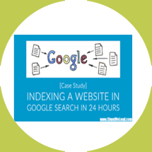 Google Index Checker